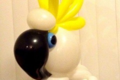 cockatoo-balloon-1