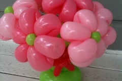 pink-flowers